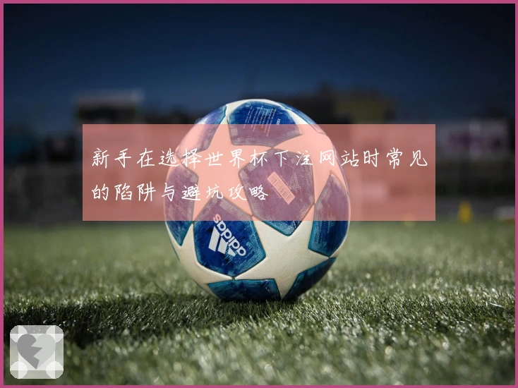 新手在选择世界杯下注网站时常见的陷阱与避坑攻略
