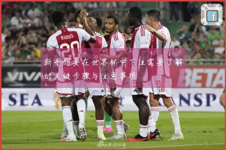 新手想要在世界杯中下注需要了解的关键步骤与注意事项