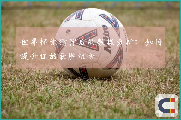 世界杯竞猜背后的数据分析：如何提升你的获胜机会