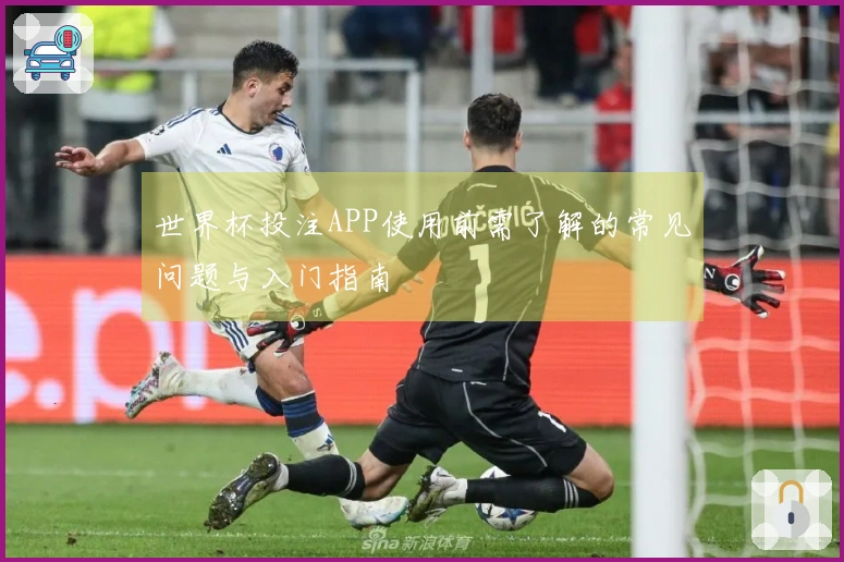 世界杯投注APP使用前需了解的常见问题与入门指南