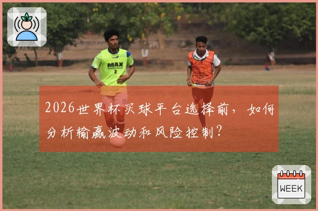 2026世界杯买球平台选择前，如何分析输赢波动和风险控制？