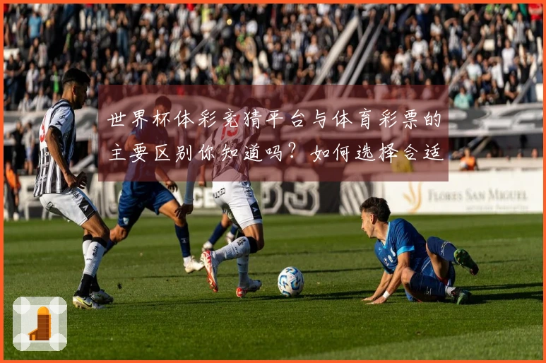 世界杯体彩竞猜平台与体育彩票的主要区别你知道吗？如何选择合适的入口？