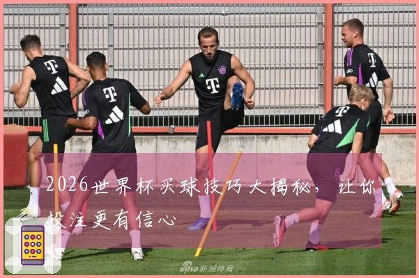 2026世界杯买球技巧大揭秘，让你投注更有信心