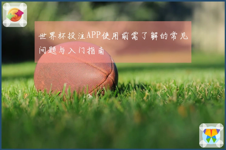 世界杯投注APP使用前需了解的常见问题与入门指南