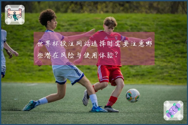 世界杯投注网站选择时需要注意哪些潜在风险与使用体验？